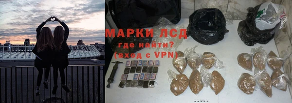 спайс Алзамай