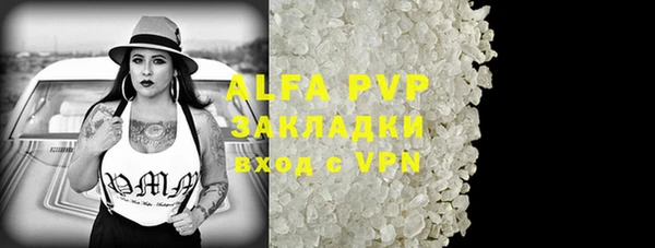 спайс Алзамай