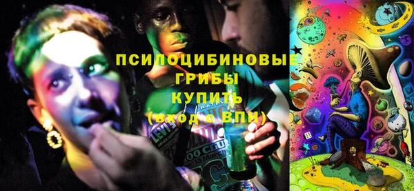 прущий лед Алексин